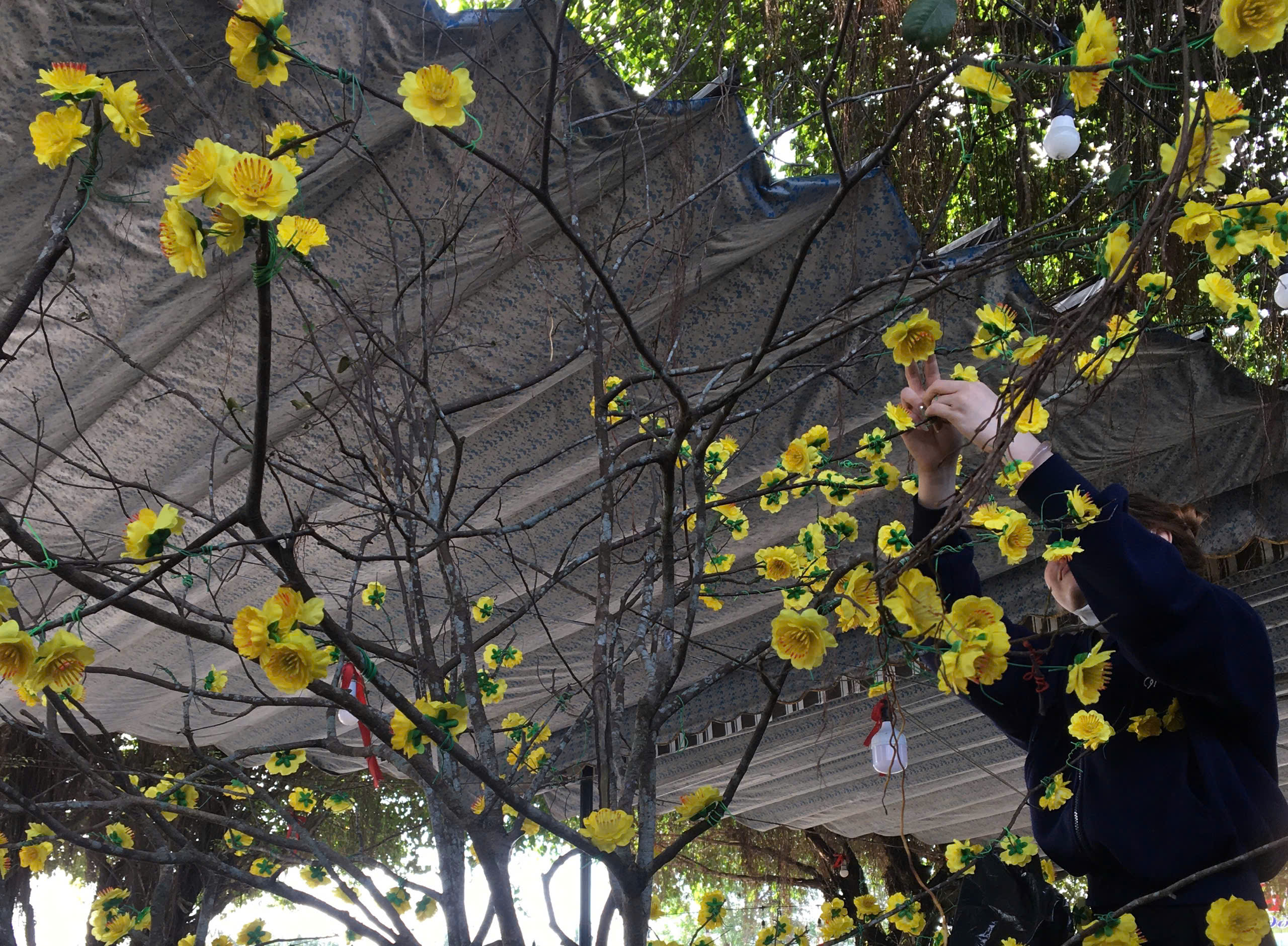 Sắc xuân Sông Hậu